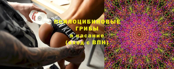 шишки Заволжск