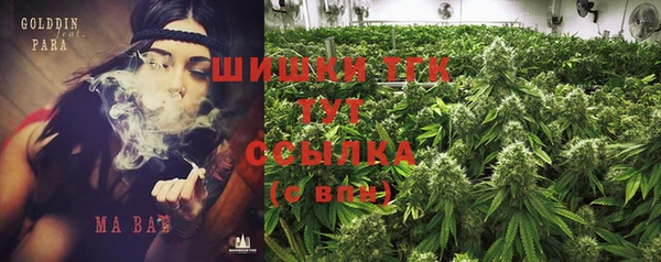 шишки Заволжск