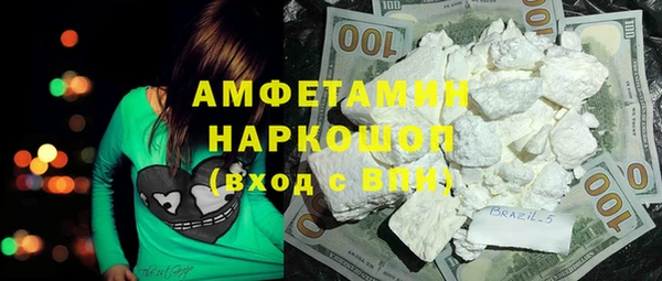 шишки Заволжск
