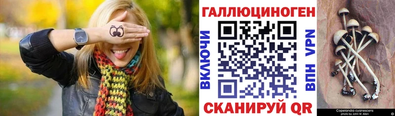 Псилоцибиновые грибы GOLDEN TEACHER  Купить  Красноперекопск 